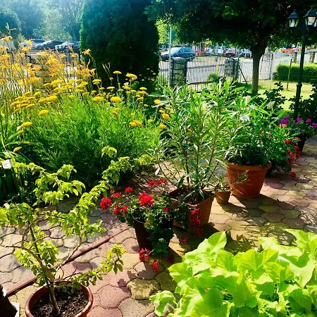 Barbara Vendeghaz * 블로톤퓌레드