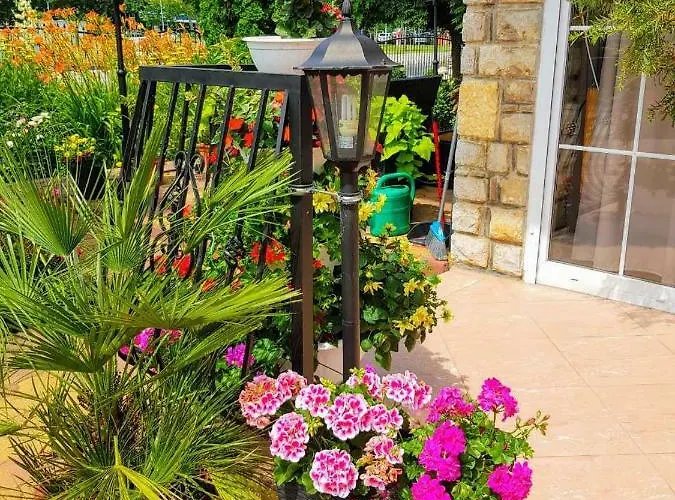 Barbara Vendeghaz Apartament
